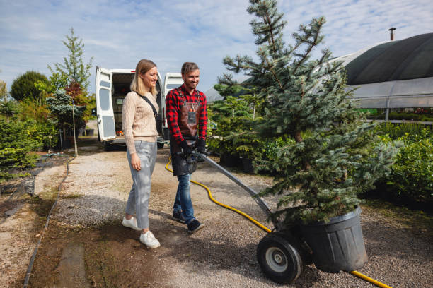 Best Emergency Storm Tree Removal  in Trumann, AR